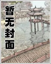 大唐风华相关历史文化解读
